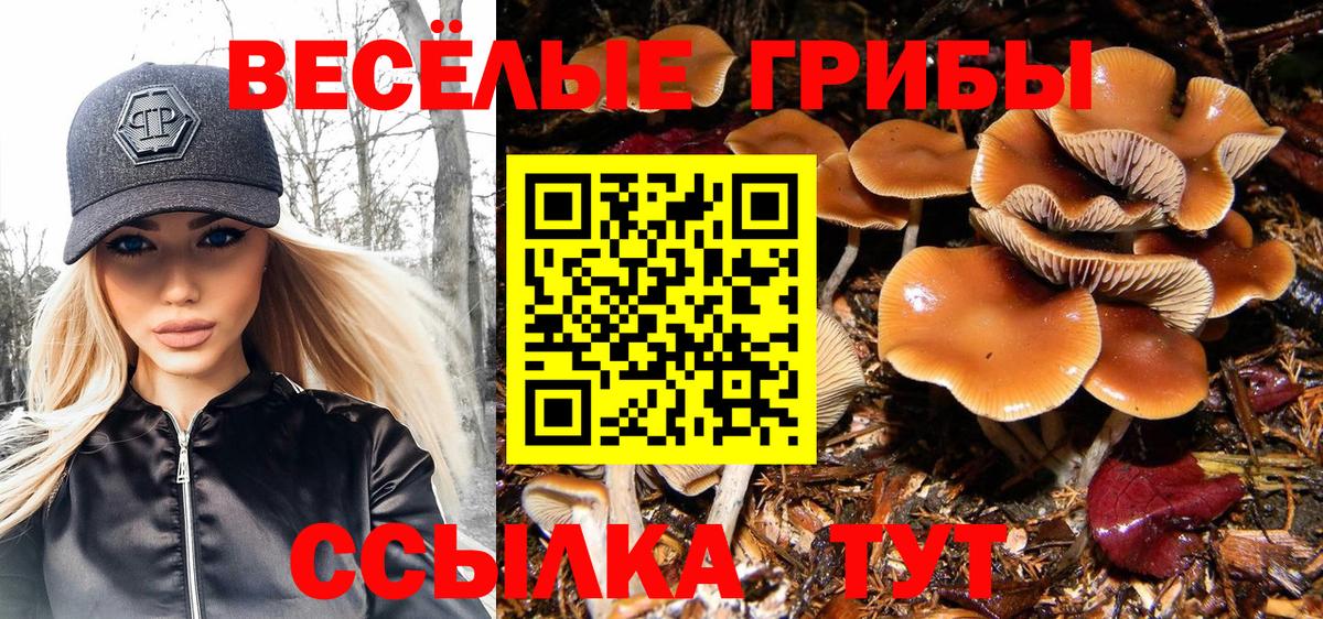 Галлюциногенные грибы Magic Shrooms Александров